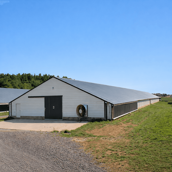 Imagen de Línea aviar